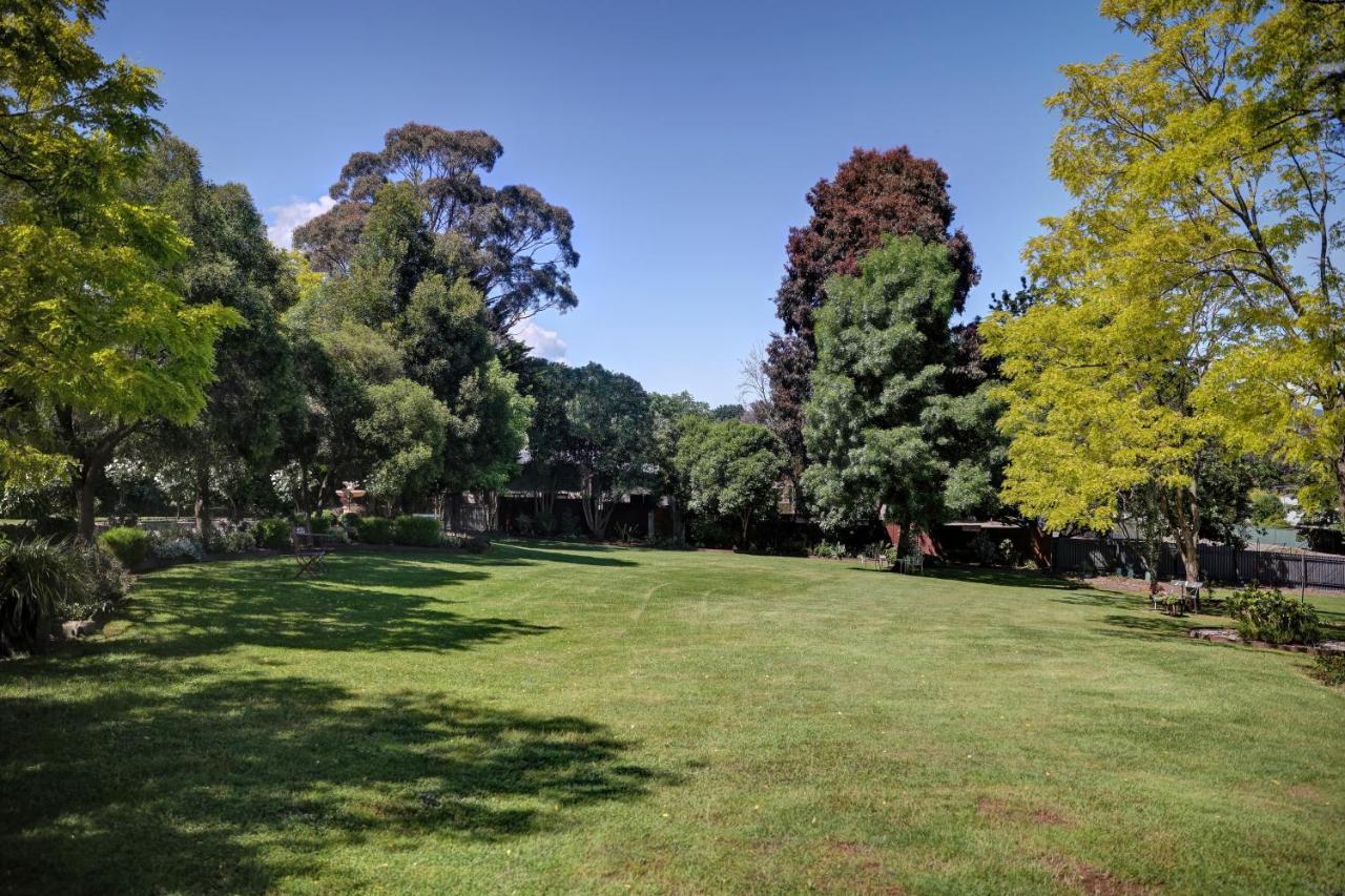 Yarra Gables Motel Healesville Bagian luar foto