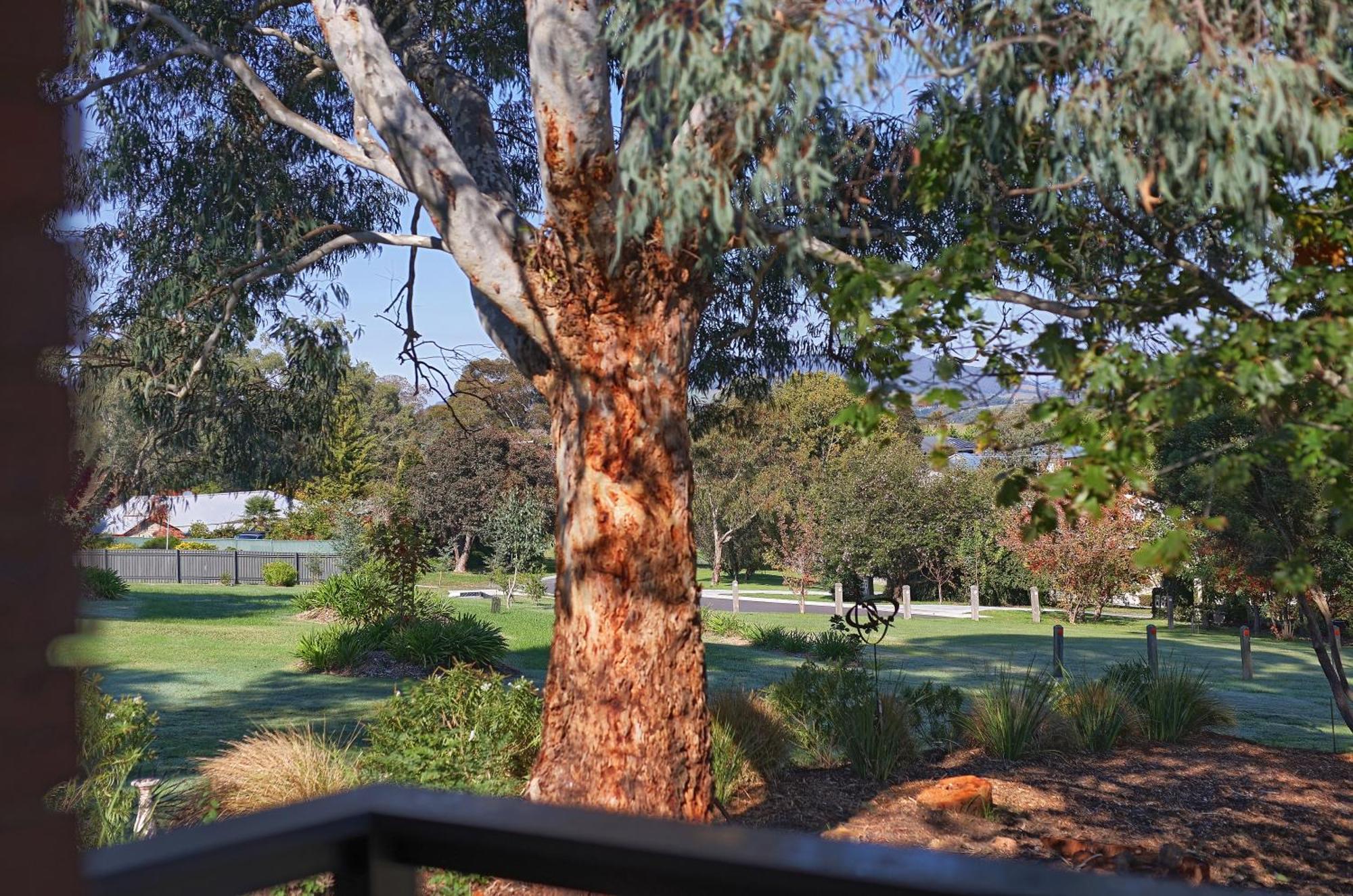 Yarra Gables Motel Healesville Bagian luar foto